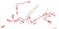 SOSTEGNO PRINCIPALE/PEDALE FRENO per Honda CBR 250 R 2011