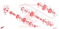 TRASMISSIONE per Honda MSX 125 2015