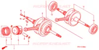 ALBERO A GOMITI/PISTONE per Honda FORESIGHT 250 SE 2001
