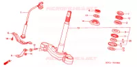 GAMBA STERZO/PONTE SOPRA per Honda FORESIGHT 250 SE 2001
