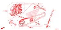 CATENA CAMMA/TENSIONE per Honda MSX 125 2013