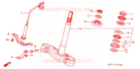 GAMBA STERZO/PONTE SOPRA per Honda FORESIGHT 250 EX 2005