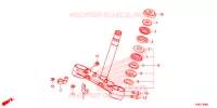 GAMBA STERZO/PONTE SOPRA per Honda MSX 125 2016