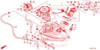 SERBATOIO COMBUSTIBILE per Honda MSX 125 2016