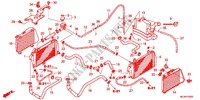 RADIATORE per Honda GL 1800 GOLD WING 2012