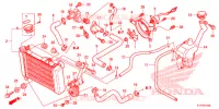RADIATORE (CBR125RW'07,'08,'09,'10) per Honda CBR 125 2007
