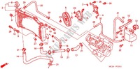 RADIATORE (CBR900RR'02,'03) per Honda CBR 954 RR 2002