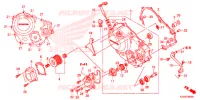 COPERTURA CASSA MANOVELLA per Honda CRF 250 L 2014