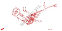 COPERTURA CASSA MANOVELLA/ GENERATORE(2) per Honda CRF 450 R 2011