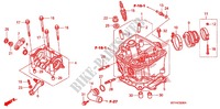 CILINDRO/TESTATA per Honda CRF 450 X 2012