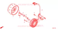 COPERTURA CASSA MANOVELLA/ GENERATORE(2) per Honda CRF 250 L 2018