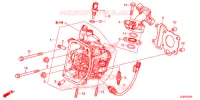 CILINDRO/TESTATA per Honda 50 METROPOLITAN 2016