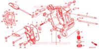 CASSA MANOVELLA DESTRA per Honda DUNK 50 2014