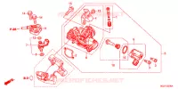 CORPO FARFALLATO per Honda DUNK 50 2014