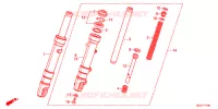 FORCELLA ANTERIORE per Honda DUNK 50 2014