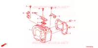 CILINDRO per Honda LEAD 110 EX SPECIAL COLOR 2010