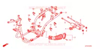 CORPO TELAIO per Honda LEAD 110 EX SPECIAL COLOR 2010