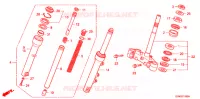 GAMBA STERZO/FORCELLA ANTERIORE per Honda LEAD 110 EX SPECIAL COLOR 2010