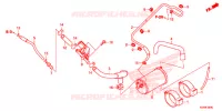 CANISTRO per Honda FORZA 300 2015