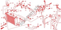 RADIATORE (CBR150R3 7) per Honda CBR 150 M RED 2004