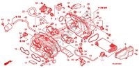 COPERTURA ANTERIORE/FILTRO ARIA per Honda CBF 1000 F ABS 2011