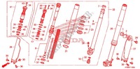 FORCELLA ANTERIORE per Honda CRF 250 R 2011
