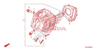 CILINDRO/TESTATA per Honda CRF 50 2006