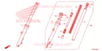 FORCELLA ANTERIORE per Honda CB 125 F 2019