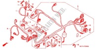BARDATURA FILO (AVANT) per Honda RVT 1000 R RC51 2001