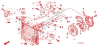 RADIATORE per Honda TRX 450 R SPORTRAX Electric Start WHITE 2012