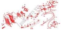 RADIATORE per Honda VT 1300 STATELINE ABS 2011