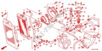 RADIATORE (VT750CA/CS/C2B) per Honda SHADOW VT 750 PHANTOM 2012