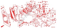RADIATORE (VT750C/CA/C2/C2B/C2F/CS/C2S) per Honda SHADOW VT 750 SPIRIT 2013