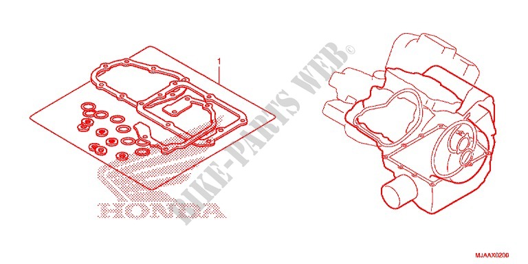 CORREDO B GUARNIZIONE per Honda SHADOW VT 750 SPIRIT 2013