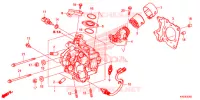 CILINDRO/TESTATA per Honda FORZA 125 2018