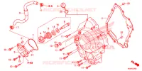 COPERTURA CASSA MANOVELLA/POMPA ACQUA per Honda FORZA 300 ABS 2018