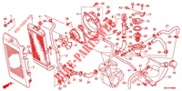 RADIATORE (VT750C2B/C2S/CS/C/CA) per Honda SHADOW VT 750 SPIRIT S 2011