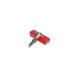 CANDELA (LMAR8L-9) (NGK)